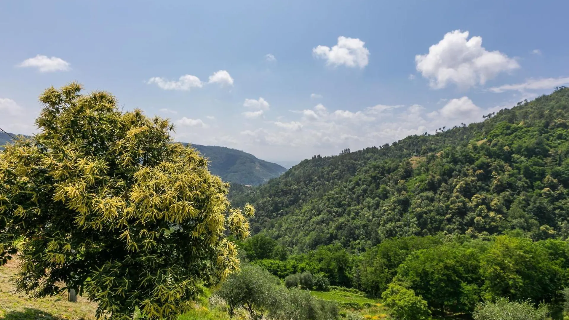 Apartment Podere Cima A Zano - Apt-Fienile Pca107 By Interhome Medicina